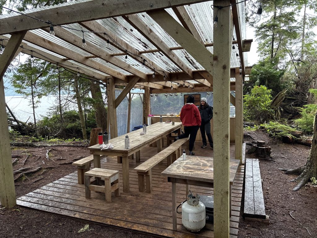 Bob Rein Reflections Off The Grid Rustic outdoor picnic shelter in a forest with natural wood structure sloping roof translucent corrugated material and wooden tables and benches