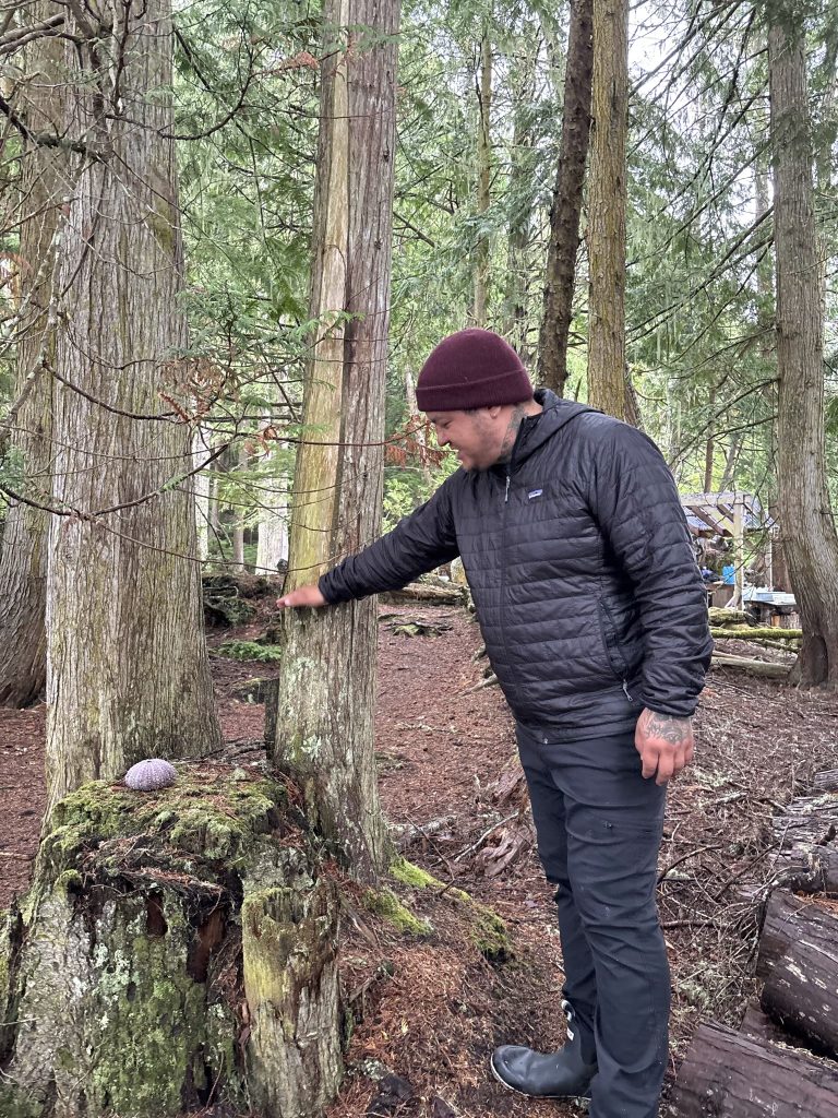 Bob Rein Reflections Off The Grid Serene forest scene with a man in black insulated jacket and pants, maroon beanie, and black boots, standing contemplatively against a tree