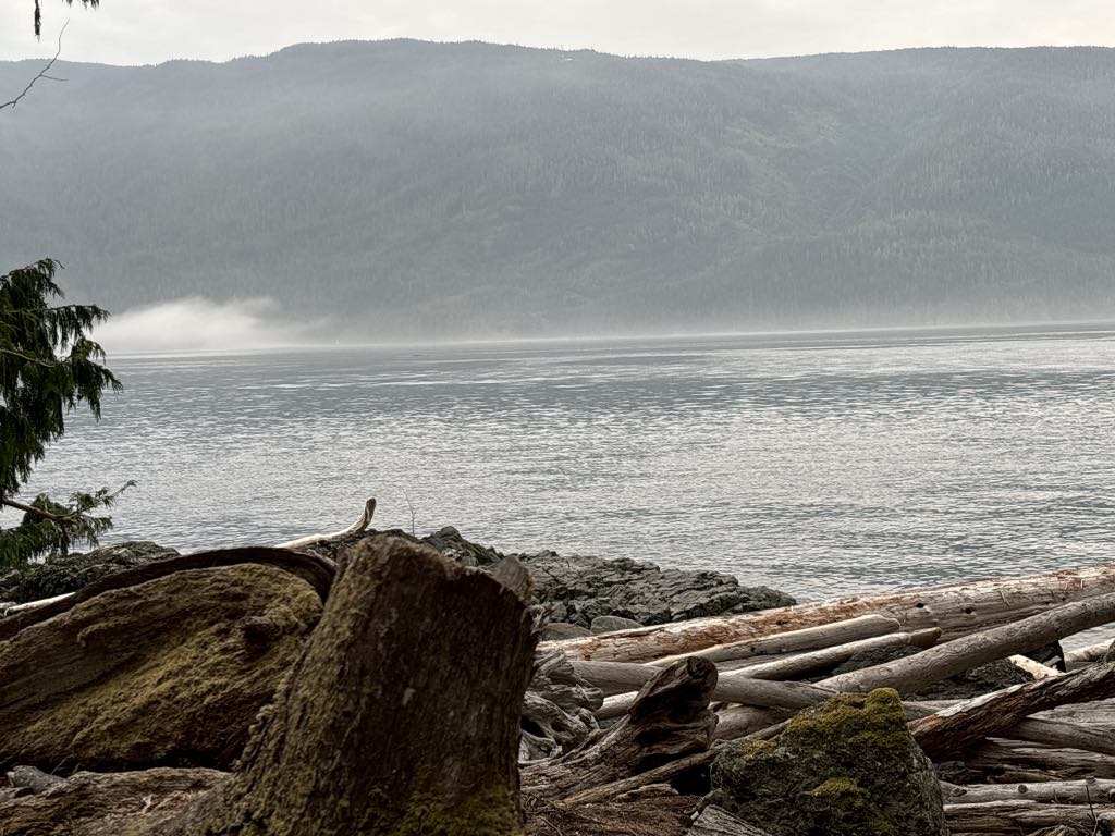 Bob Rein tree stump by the water edge with mountains in the background and fog in the sky