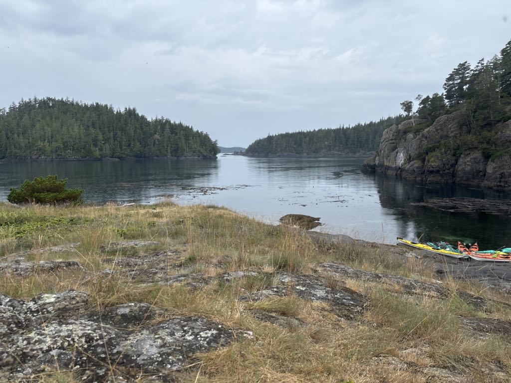 Group of canoes on a rocky shore near a body of water with trees in the background and a cloudy sky