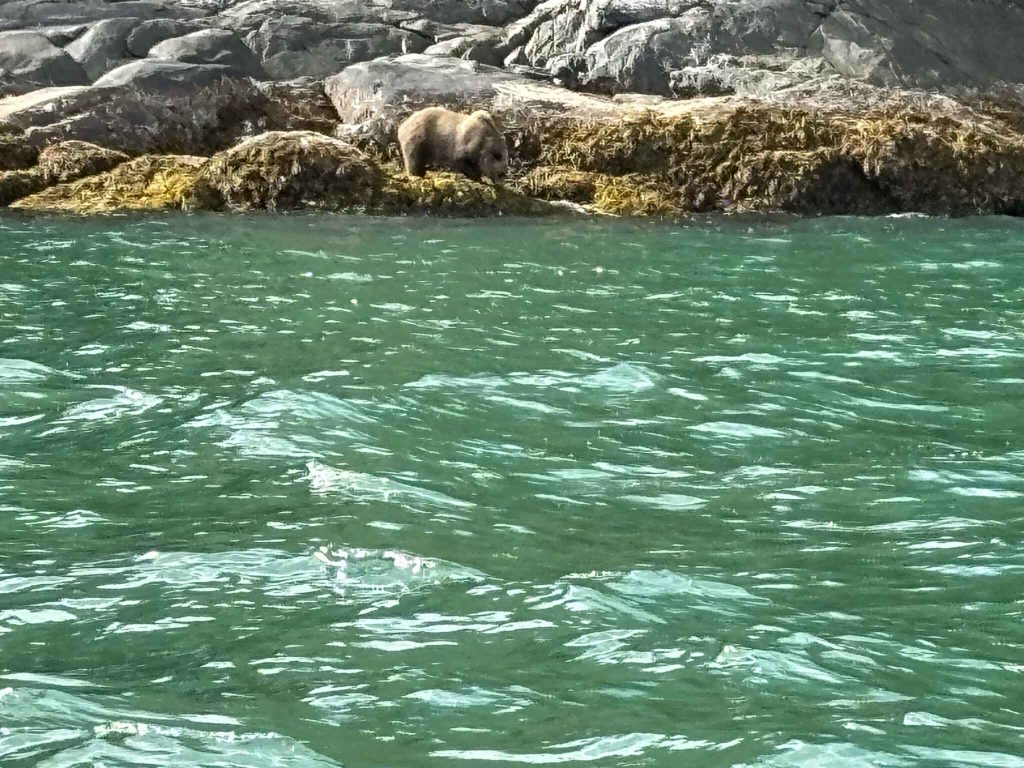 Day 6. Going to Glendale Cove in the Great Bear Rainforest