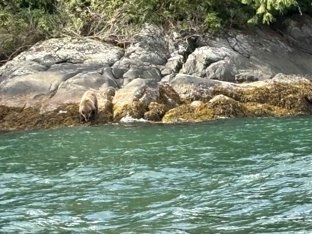 Day 6. Going to Glendale Cove in the Great Bear Rainforest