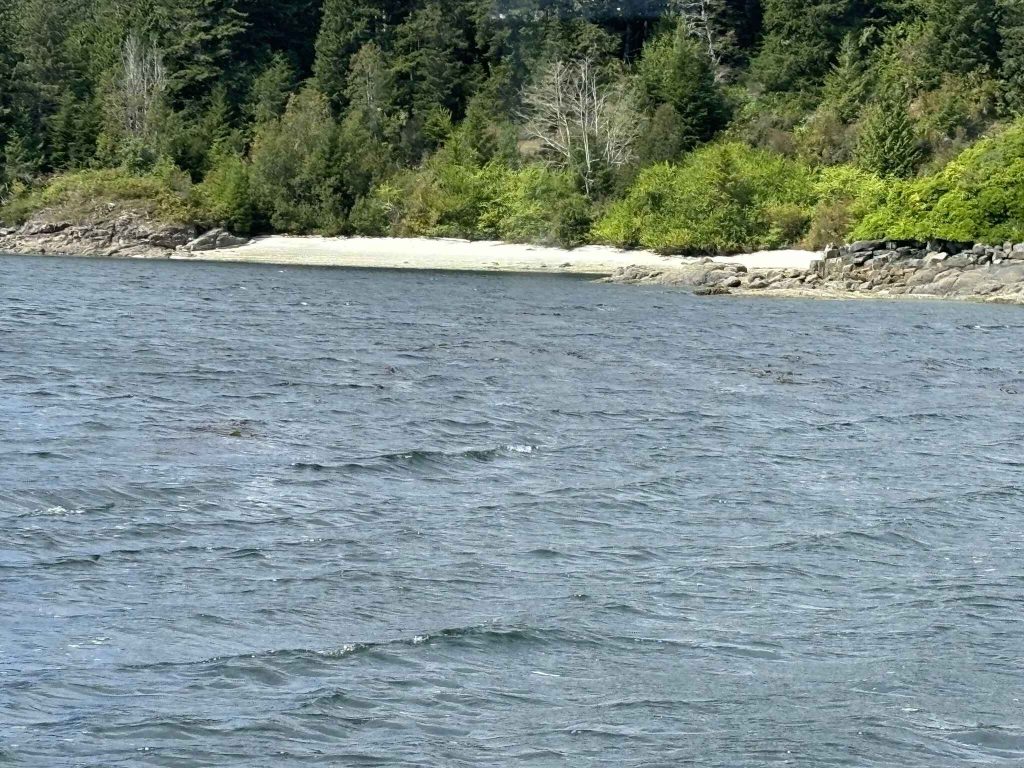 Day 6. Going to Glendale Cove in the Great Bear Rainforest