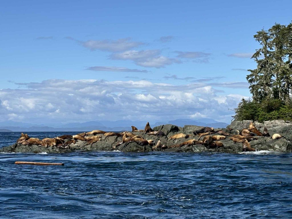 Day 6. Going to Glendale Cove in the Great Bear Rainforest